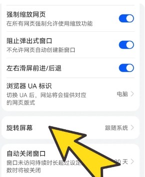 啵啵浏览器13