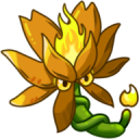 PVZRH Launch...
