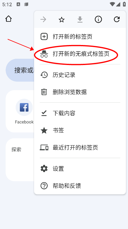 谷歌浏览器国际版8