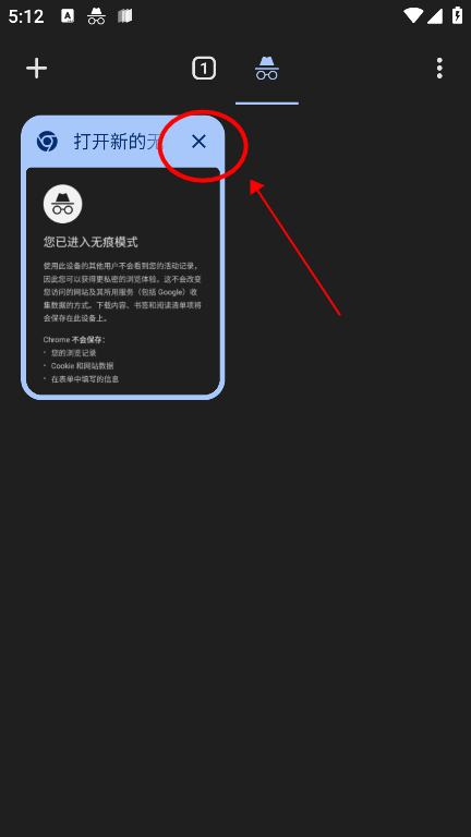 google chrome10
