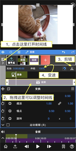 nvmax13