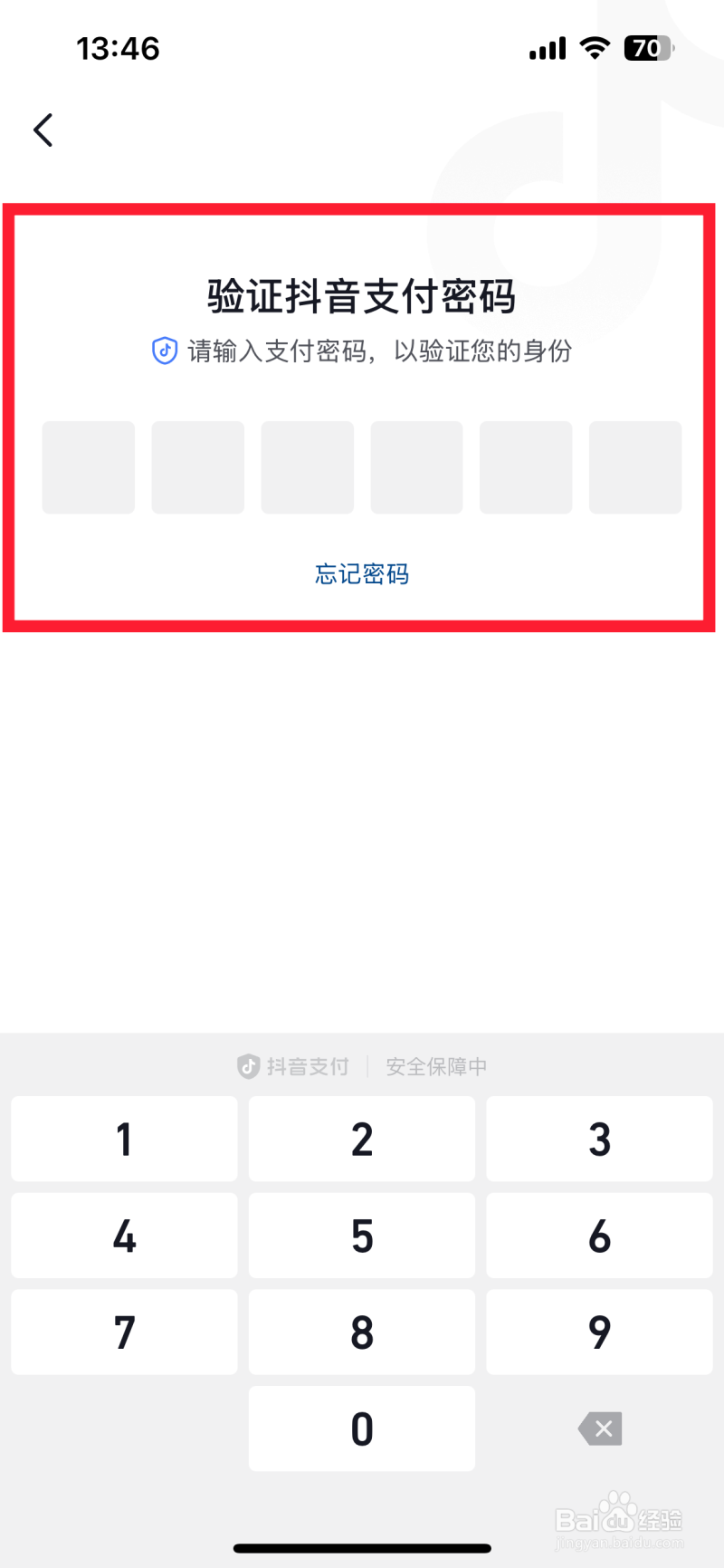 抖音支付13